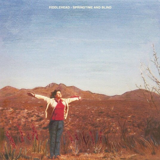 Springtime Blind Usa Vinyl