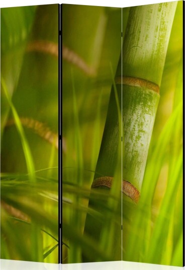 Romdeler Bamboo - Nature Zen - Artgeist sp. z o. o.