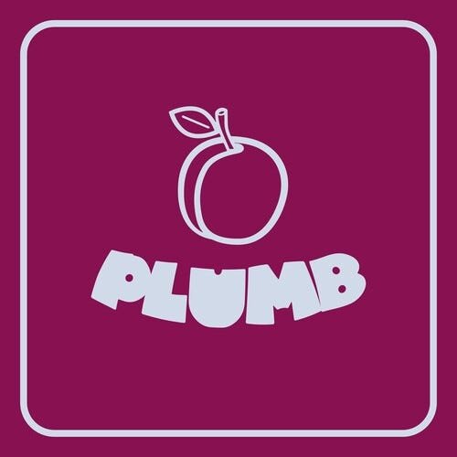 Ray Angry Plumb LP/Vinyl