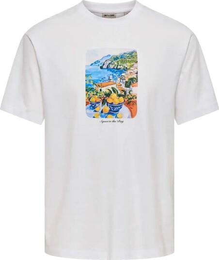 ONLY & SONS Onsfred Painting Life Rlx Ss Tee White S