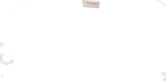 Twinset Dame Topper Hvit M,