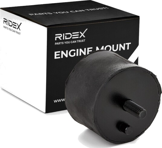 RIDEX 247E0141 Motorfeste
