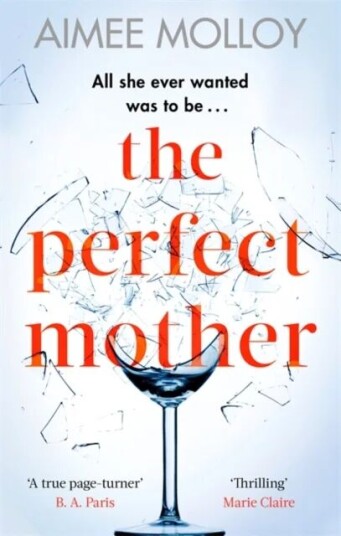 The Perfect Mother Av Aimee Molloy