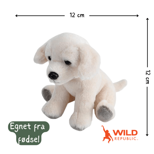 Pocketkins Eco Dog Plush | Wild Republic