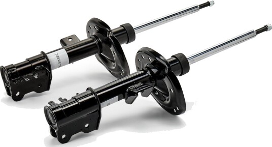 RIDEX 854S2194 Støtdemper