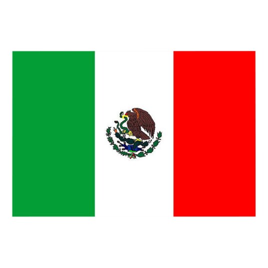 Henbrandt Flagg Mexico