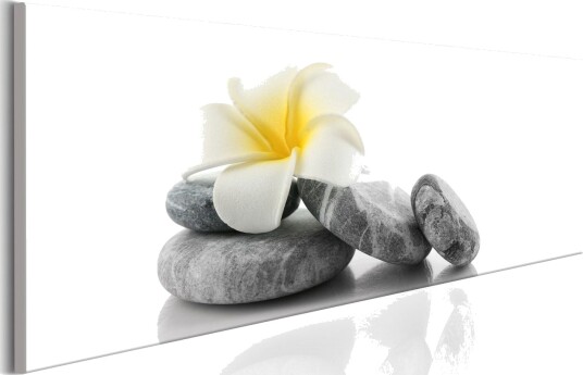Bilde White Lotus 150x50 Artgeist sp. z o. o.