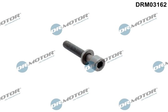 DR.MOTOR AUTOMOTIVE DRM03162 Skrue, innsprøytningsdyseholder DR.MOTOR AUTOMOTIVE DRM03162 Skrue, innsprøytningsdyseholder