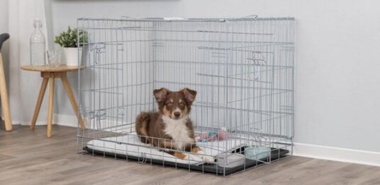 Trixie Home Kennel Hundebur 109 X 79 X 71 cm Trixie Home Kennel Hundebur 109 X 79 X 71 cm