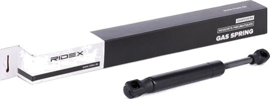 RIDEX 219G0449 Baklukedemper