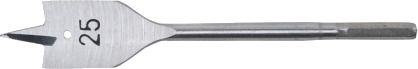 Wiertlo Pro-Line Spade 6 Mm (26606)