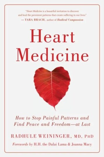 Heart Medicine Av Radhule Weininger