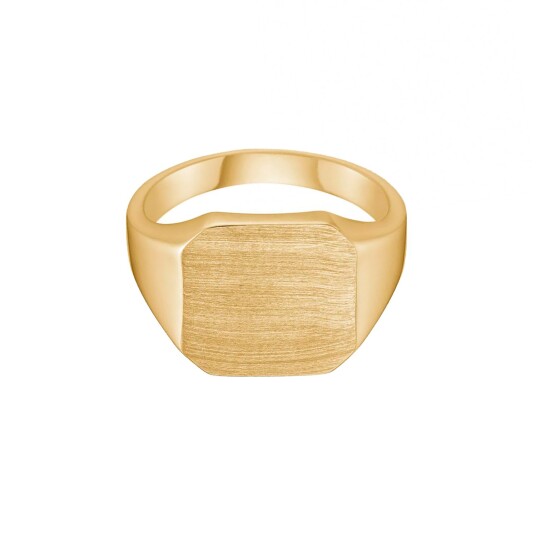 Avilé Jewelry Brushed Signet Ring 18 kt. Gullforgylt sølv DI001-GP-58 - Unisex - 925 sterling silver