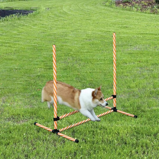 Agility Set Hunder med flettede staver oransje Agility Set Hunder med flettede staver oransje