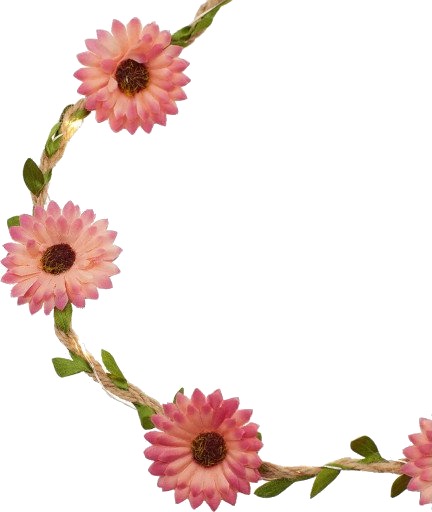 Sirius Flora Sommerblomster lyslenke 2 meter rosa