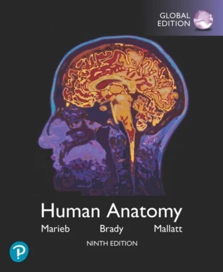 Human Anatomy, Global Edition Av Elaine Marieb, Patricia Brady, Jon Mallatt