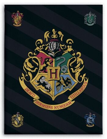 Borg Living Fleece teppe Hogwarts 100x140 cm