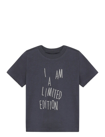 Minymo T Shirt Ss Grey 116 Minymo T Shirt Ss Grey 116
