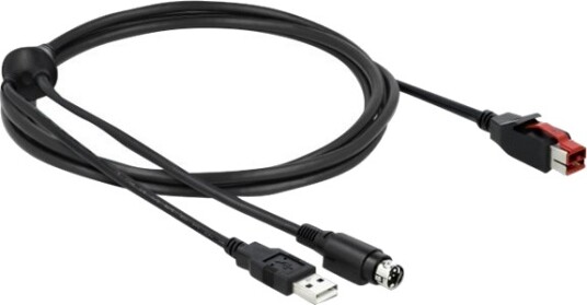 Delock Strømforsynt Usb Kabel Usb Pluspower 24 V Hann Til Usb Power Mini Din Hann 24 V 2 M Svart
