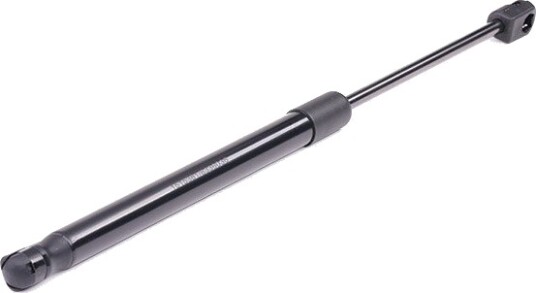 RIDEX 219G0398 Baklukedemper
