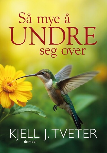 Så mye å undre seg over Så mye å undre seg over