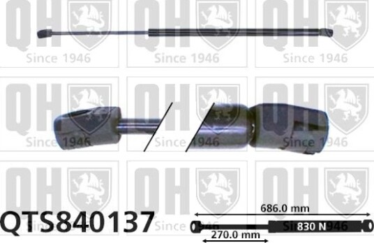 QUINTON HAZELL QTS840137 Baklukedemper