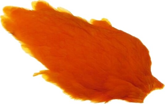Whiting American Hen Cape Orange Whiting American Hen Cape Orange