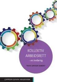 Kollektiv arbeidsrett Pent brukt bok