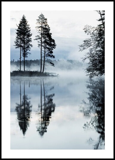 Misty Forest Morning Plakat Plakat / 50x70cm Misty Forest Morning Plakat Plakat / 50x70cm