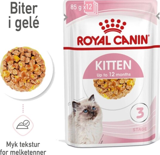 Royal Canin Kattunge Våtfôr i Gelé 12x85g - Fullfôr med Vitamin A, D og E