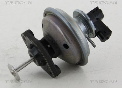 EGR ventil TRISCAN 8813 11002