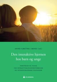 Den Interaktive Hjernen Hos Barn Og Unge Den Interaktive Hjernen Hos Barn Og Unge