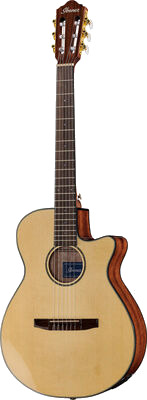 Ibanez AEG50N-NT Nylon