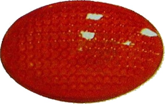 DIEDERICHS 1812076 Blinklys