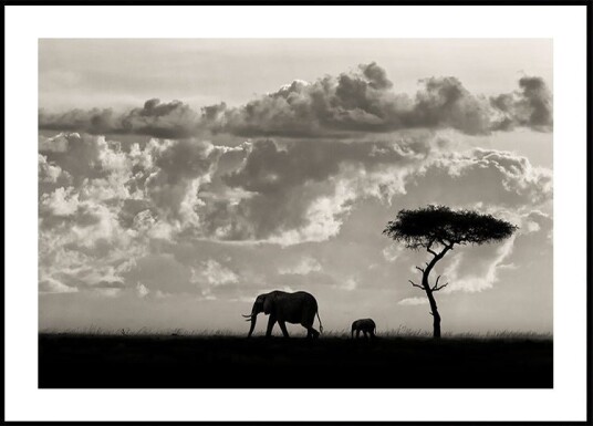 Silhouettes of Mara Plakat / 40x50cm Silhouettes of Mara Plakat / 40x50cm