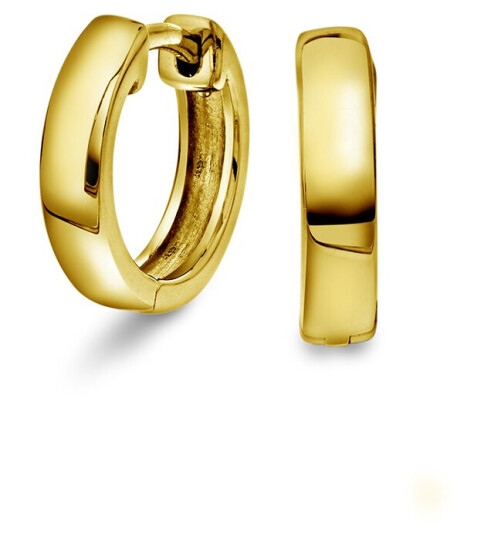 Pan Jewelry Øreringer i 925 forgylt sølv