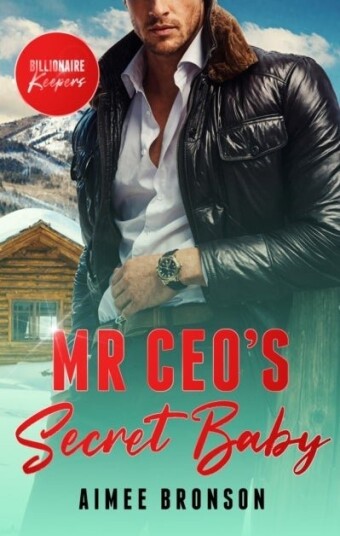 Mr. CEO's Secret Baby Mr. CEO's Secret Baby