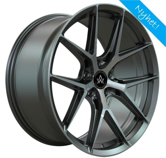 Merit Alloy Alu.felg 10*20 ET42 Accelero FFY5 GMP 72,6   5x120 457