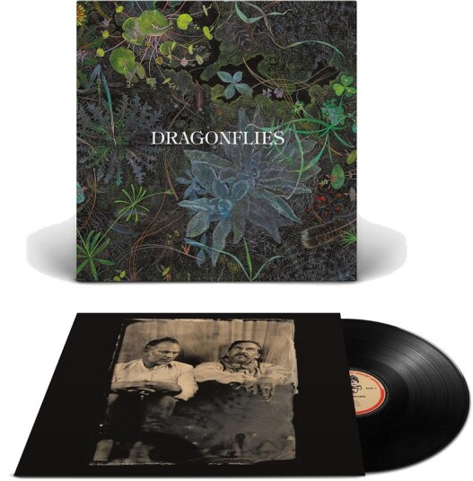 Dragonflies Dragonflies Vinyl
