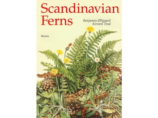 Scandinavian Ferns | Benjamin Øllgaard | Språk: Engelsk