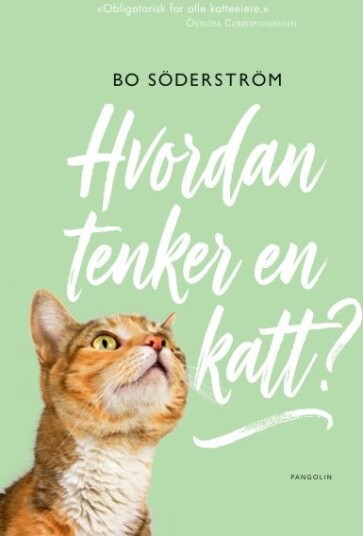 Hvordan tenker en katt? Hvordan tenker en katt?