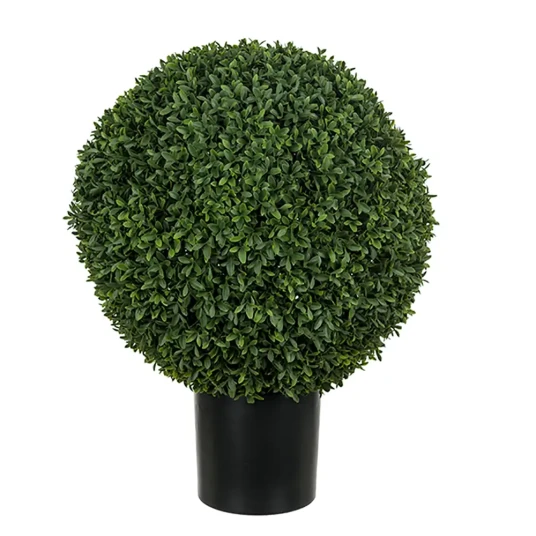 Mr Plant Buxbom i potte 40 cm Mr Plant Buxbom i potte 40 cm
