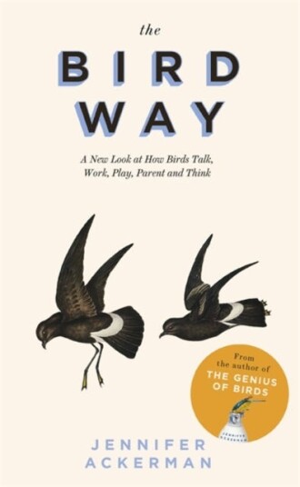 The Bird Way  A New Look at How Birds Talk, Work, Play, Parent, and Think