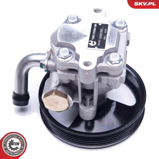 Servopumpe ESEN SKV 10SKV283