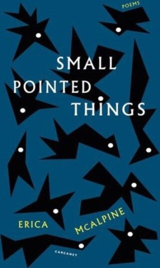 Small Pointed Things Small Pointed Things