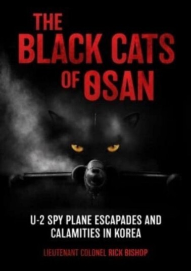 The Black Cats Of Osan Av Rick Bishop
