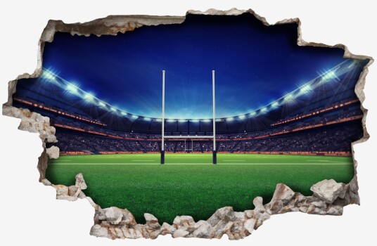 Veggtatovering Stadionutsikt