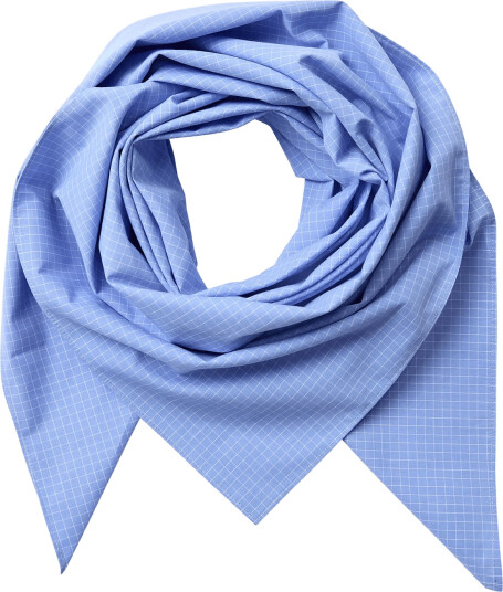 Co" Couture Elonacc Check Scarf - Blue - ONE SIZE