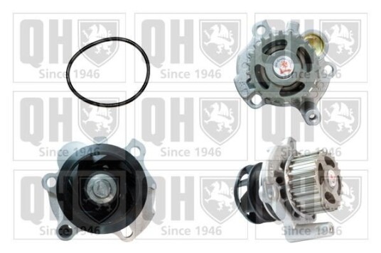 QUINTON HAZELL QCP3306 Vannpumpe
