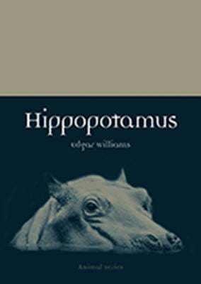 Hippopotamus Hippopotamus